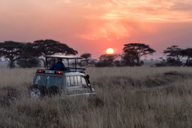 masai mara