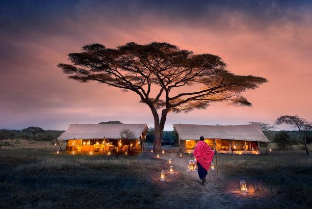 Top 10 Best Places for an African Safari