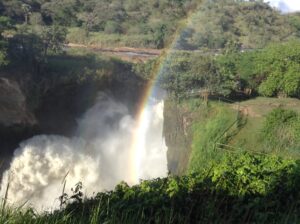 Uganda wilderness safari