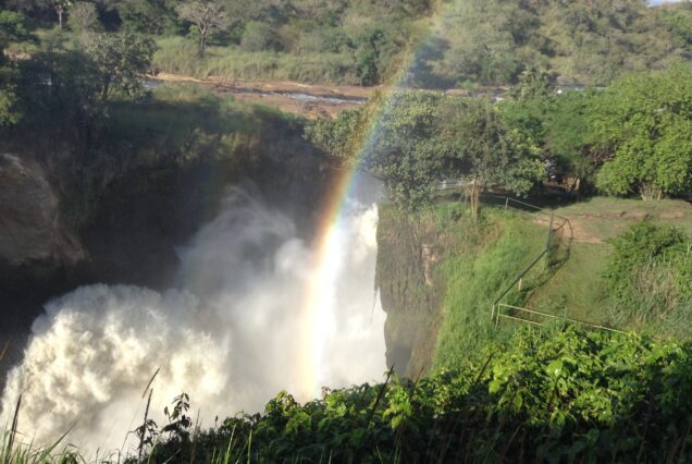 Uganda wilderness safari