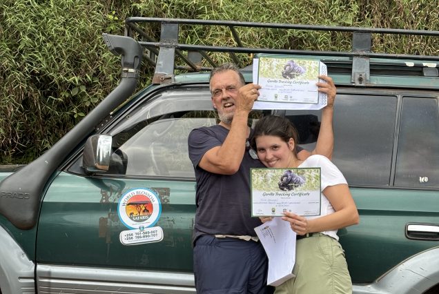 gorilla and chimpanzee with worldblossomsafaris