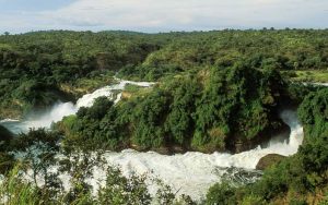 9-Day Murchison falls