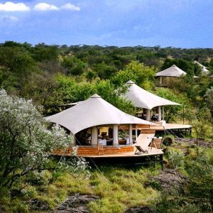 25 day East Africa safari Masai mara lodge