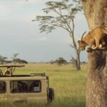 4 day Masai mara safari