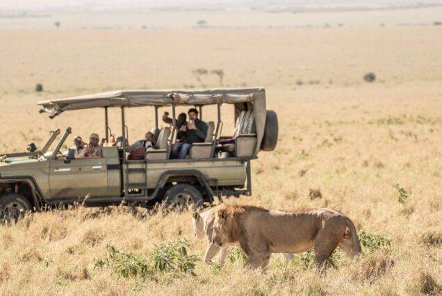 Maasai mara safari experience