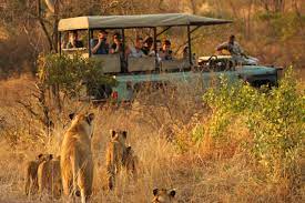 Murchison falls national park in Uganda