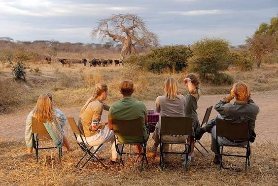 Masai mara travel experience