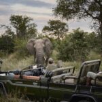 The best Africa safaris