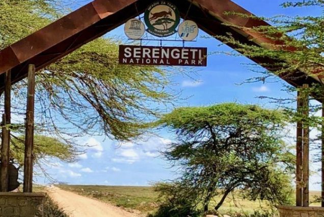 10-Day Kenya & Tanzania Budget Tour