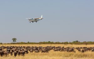 5-day best luxury safari in Tanzania