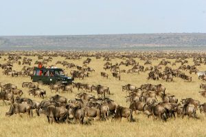 6 day Serengeti national park