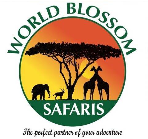 World Blossom Safaris