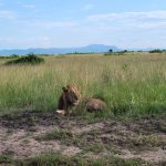 Queen Elizabeth National park