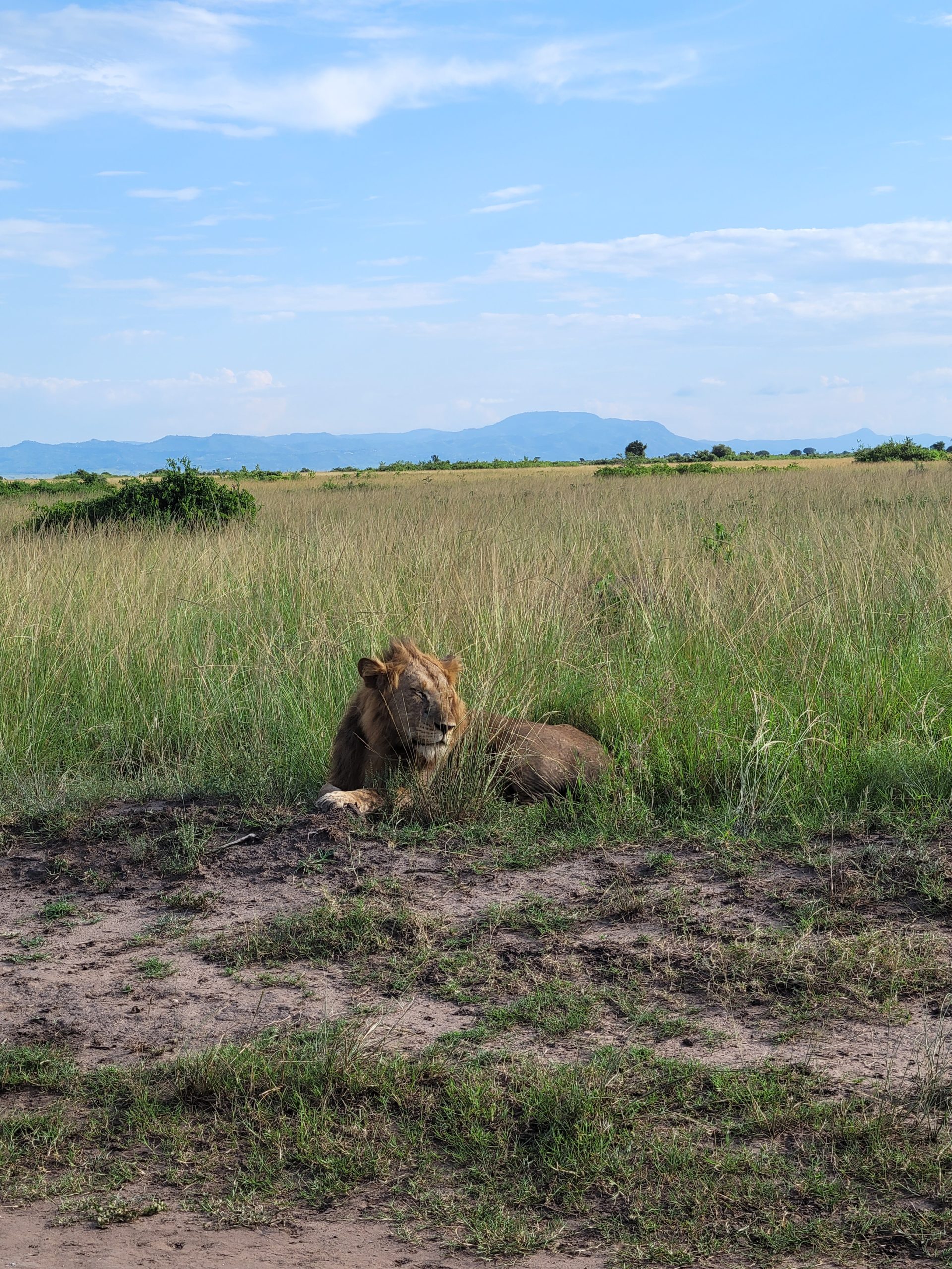 Queen Elizabeth National park