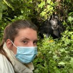 Affordable Gorilla Trekking Packages in Uganda: Explore Bwindi and Mgahinga