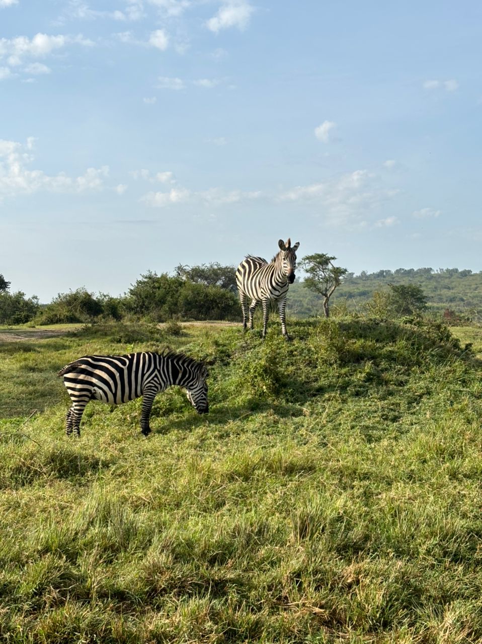 Lake Mburo national park