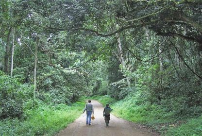 Semuliki National Park | Uganda’s Ultimate Birding Paradise