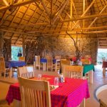 Best Safari Lodges in Uganda– Luxury and Budget Picks