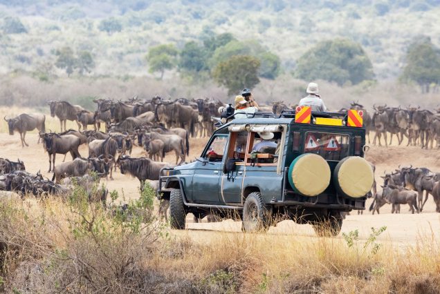 3-Day Masai Mara Safari-Most booked short safari.