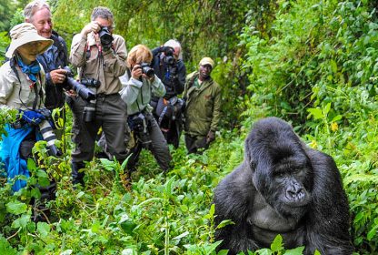 Uganda Photography Safaris-Capture the Wild Beauty of the Pearl