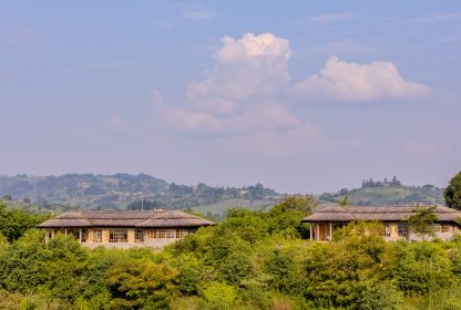Queen Elizabeth National Park Safaris- The Ultimate Uganda Wildlife Experience