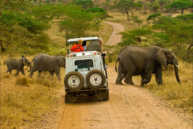 12 Days Uganda & Tanzania Safari
