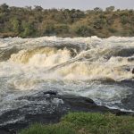 Murchison Falls Boat Cruise- A Wildlife Safari on the Nile