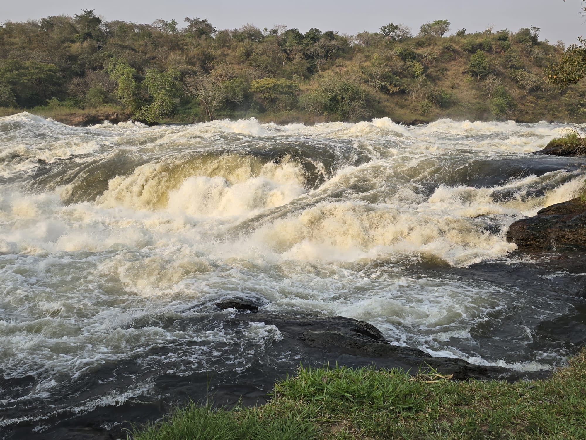Murchison Falls Boat Cruise- A Wildlife Safari on the Nile
