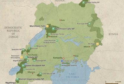 How to Get Gorilla Permits in Uganda-Insider Tips for 2026