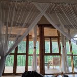 What to Expect on Your First Gorilla Trek in Bwindi