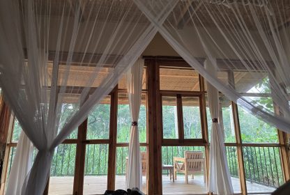 What to Expect on Your First Gorilla Trek in Bwindi