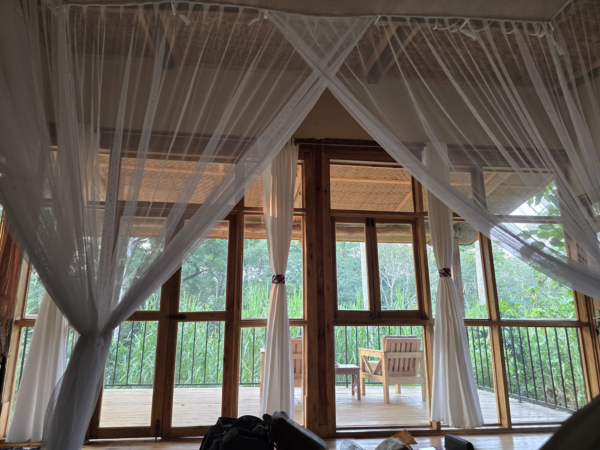 What to Expect on Your First Gorilla Trek in Bwindi