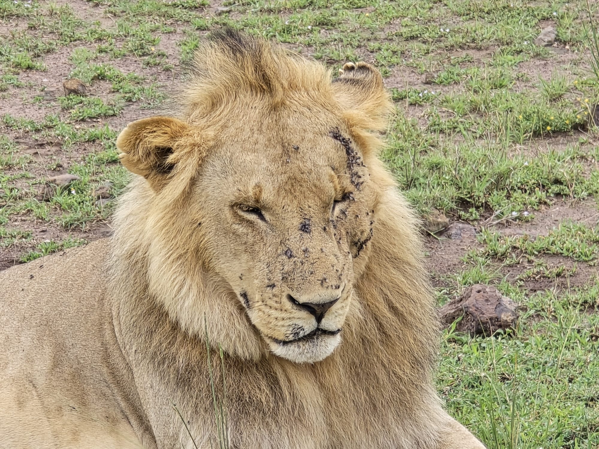 Best Safari in Uganda 5 Days