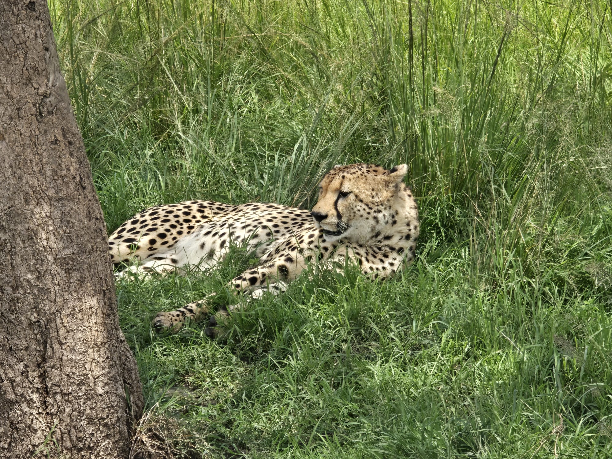 How to Travel Uganda on a Budget