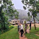 How Difficult Is Gorilla Trekking in Uganda?