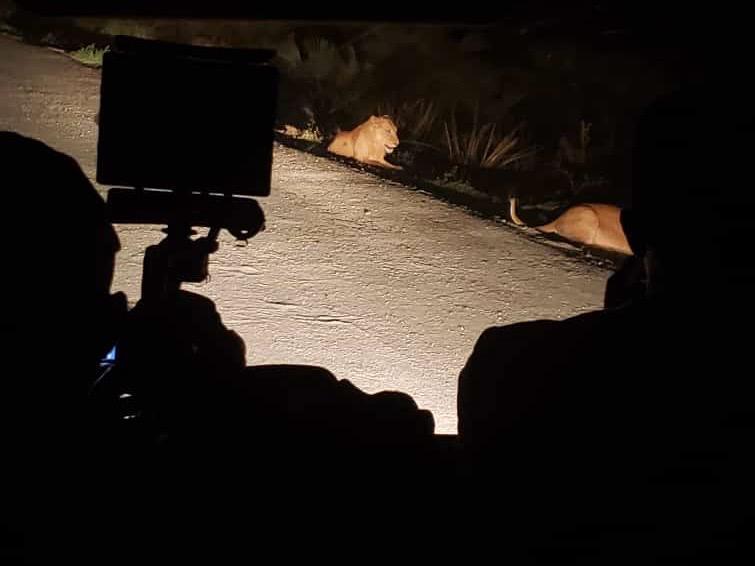 Night Game drive muchsion