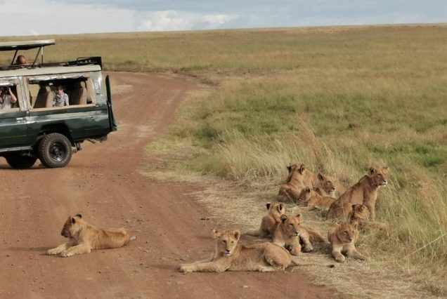 3-Day Serengeti Flying Safari Tour with World Blossom Safaris
