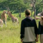 Uganda Safari From Switzerland: World Blossom Safaris Uganda