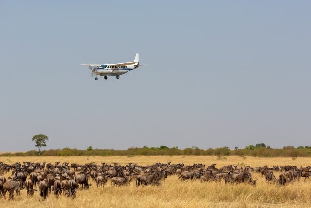 3-Day Serengeti Flying Safari Tour