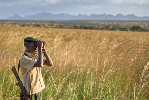3-Day Flying Safari to Kidepo Valley National Park