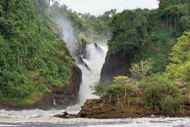 3-Day Mind Refreshing Safari in Murchison Falls National Park