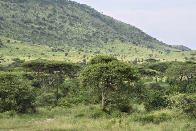 7-Day Mount Kilimanjaro Climbing Adventure via Machame Route