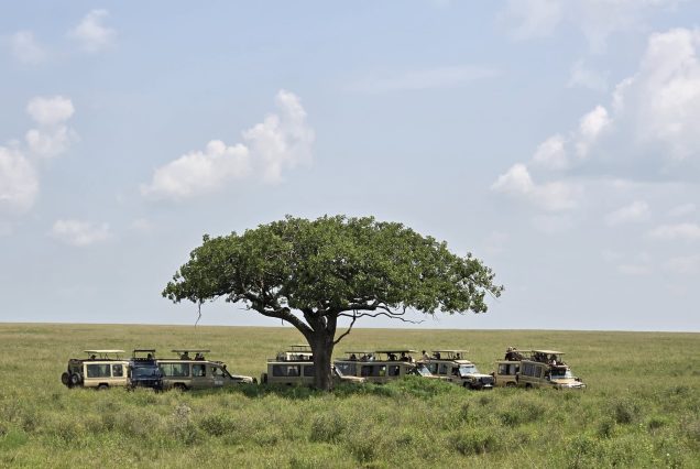 2 Days Uganda and Tanzania Safari – Gorillas and Great Migration