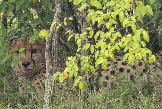 15 Days Uganda Discovery Tour – Waterfalls, Wildlife & Highlands