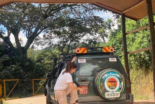 9 Days Uganda Gorilla Trekking, Chimpanzees & Cultural Safari