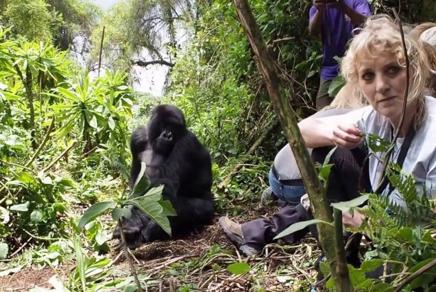 5 Days Uganda Gorilla Trekking and Chimpanzee Tracking Safari