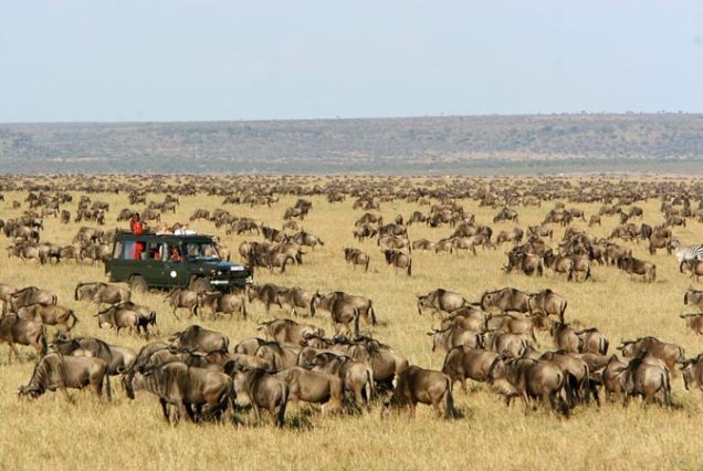 3-Day Serengeti Flying Safari Tour with World Blossom Safaris
